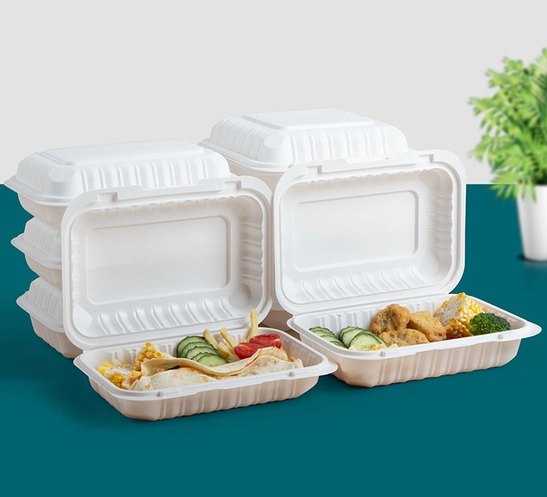 Low Price Luch Box and High Quality Disposable Food Contanier Food Packaging
