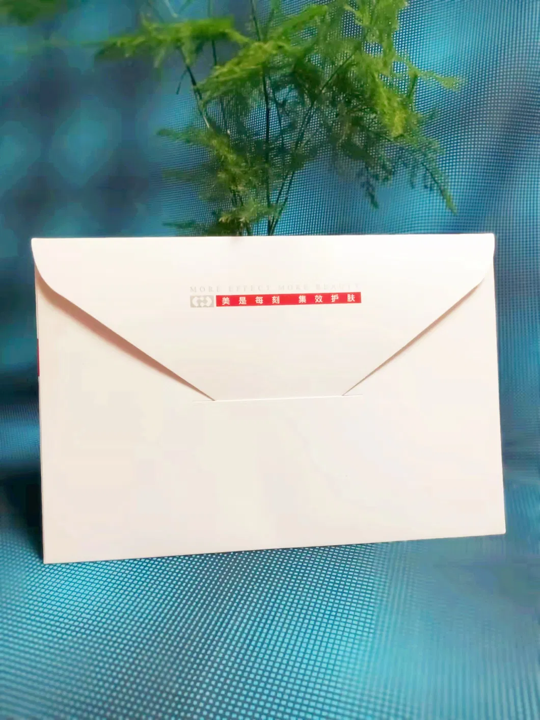 White Paper Envelope Print Brochure Flyer Packaging Gift Mailer Thank You Card Folder Matte