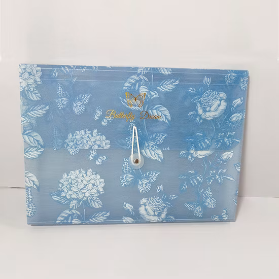 Office School Used Paper A4 File Folders / Expanding File Folder for Sale