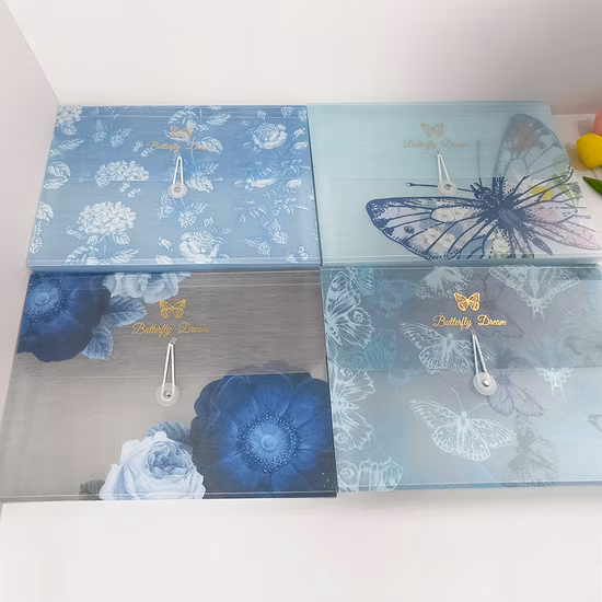Office School Used Paper A4 File Folders / Expanding File Folder for Sale