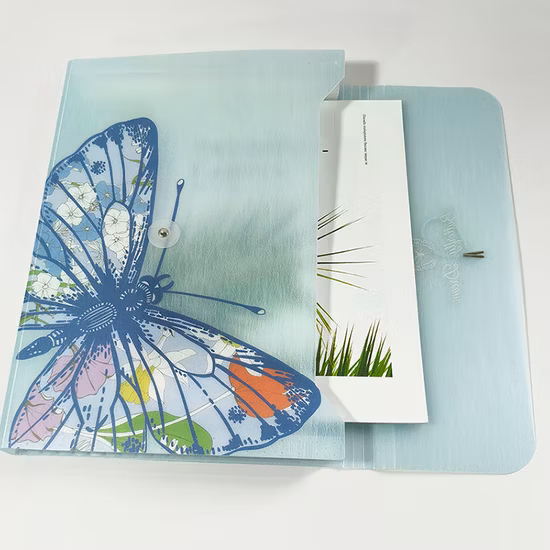 Office School Used Paper A4 File Folders / Expanding File Folder for Sale